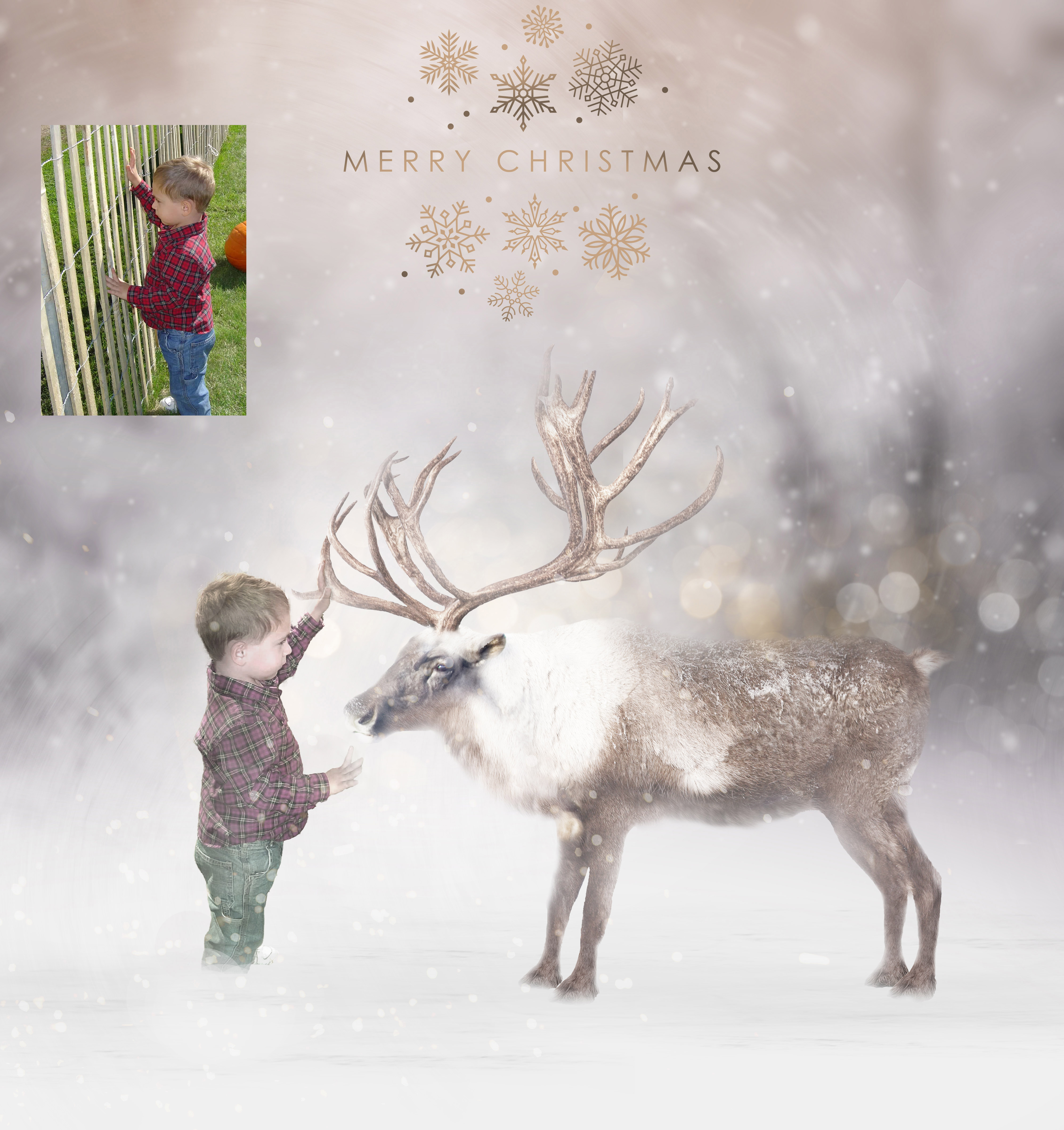 Add your own family to this winter backdrop. Merry Christmas is optional and other choices available.